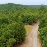 Property photo for land for sale in Fulton County Arkansas