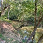 Property photo for land for sale in Pushmataha County Oklahoma