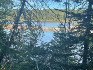 Property photo for land for sale in Washington County Maine