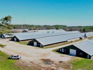 Property photo for land for sale in Clarke County Mississippi