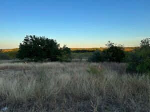 Property photo for land for sale in Brown County Texas