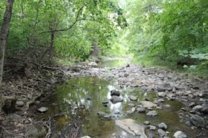 Property photo for land for sale in Albemarle County Virginia