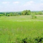 Property photo for land for sale in Howell County Missouri