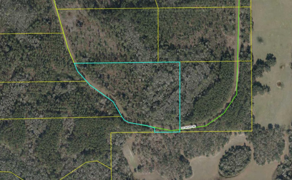 Property photo for land for sale in Madison County Florida