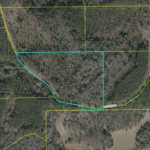 Property photo for land for sale in Madison County Florida