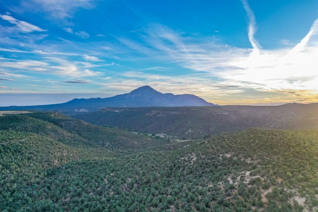 Property photo for land for sale in Montezuma County Colorado