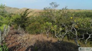 Property photo for land for sale in  County Panama