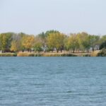 Property photo for land for sale in Comanche County Kansas