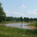 Property photo for land for sale in Howell County Missouri