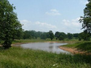 Property photo for land for sale in Howell County Missouri