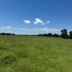 Property photo for land for sale in Red River County Texas