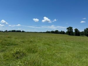 Property photo for land for sale in Red River County Texas