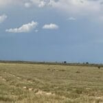 Property photo for land for sale in Torrance County New Mexico