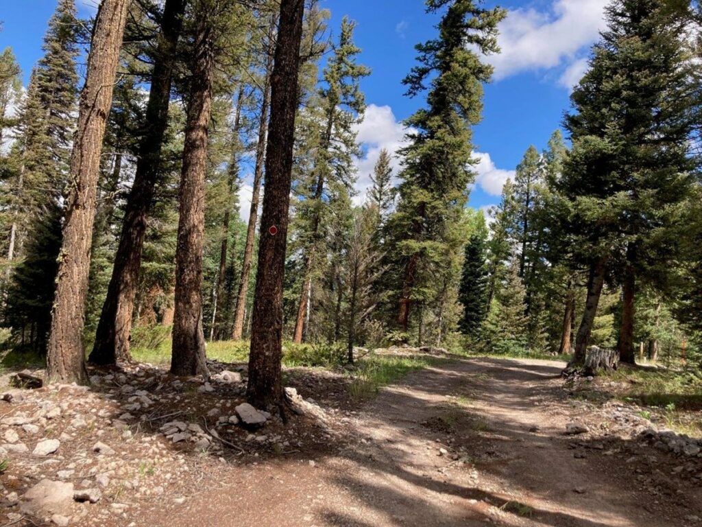 Property photo for land for sale in Gunnison County Colorado