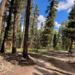 Property photo for land for sale in Gunnison County Colorado