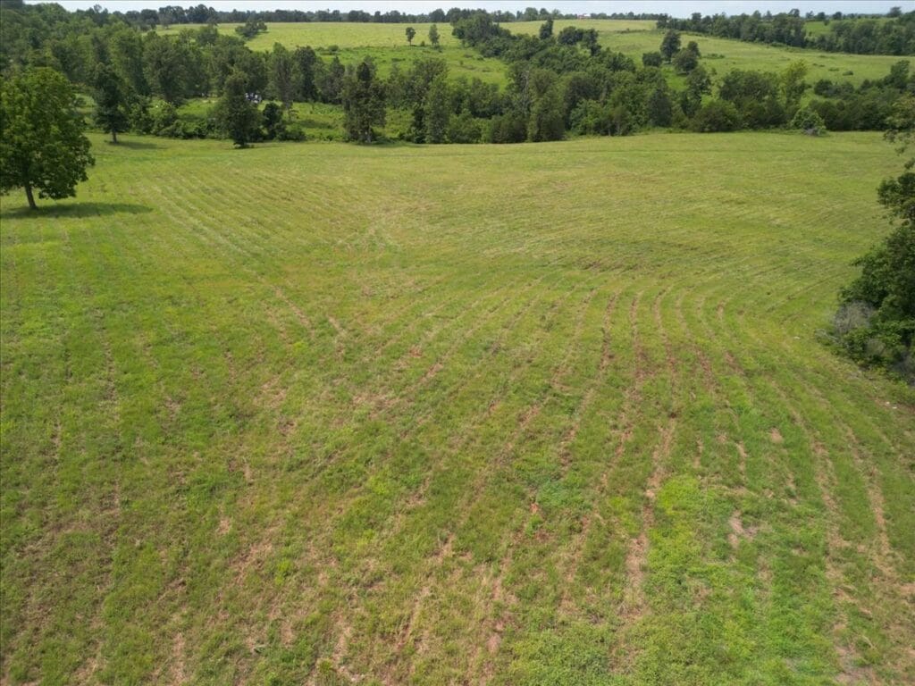 Property photo for land for sale in Ozark County Missouri