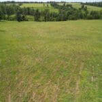 Property photo for land for sale in Ozark County Missouri