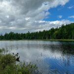 Property photo for land for sale in Washington County Maine