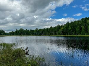 Property photo for land for sale in Washington County Maine