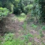 Property photo for land for sale in Crenshaw County Alabama