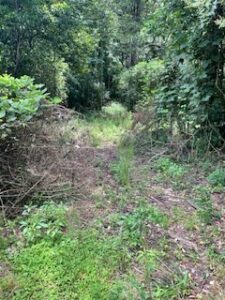 Property photo for land for sale in Crenshaw County Alabama