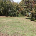 Property photo for land for sale in Howell County Missouri