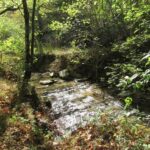 Property photo for land for sale in Bristol County Virginia