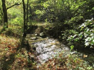 Property photo for land for sale in Bristol County Virginia