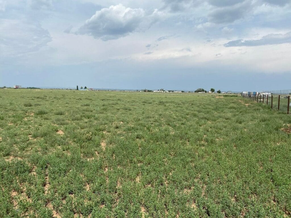 Property photo for land for sale in Torrance County New Mexico