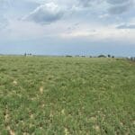 Property photo for land for sale in Torrance County New Mexico