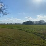 Property photo for land for sale in Lafayette County Louisiana