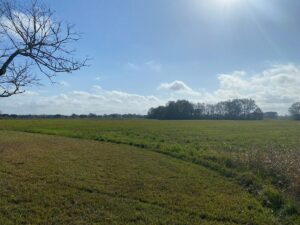 Property photo for land for sale in Lafayette County Louisiana