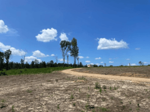 Property photo for land for sale in Washington County Mississippi