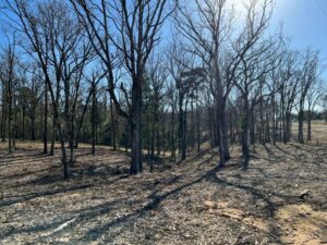 Property photo for land for sale in Smith County Texas