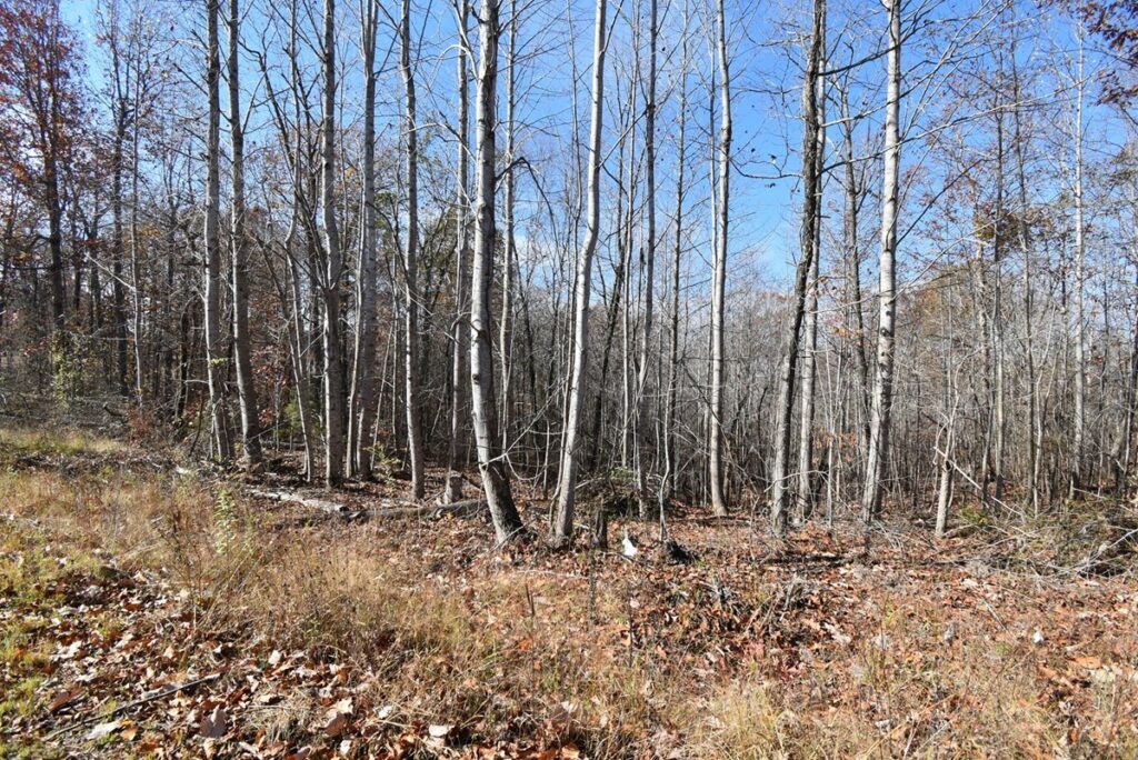 Property photo for land for sale in Perry County Tennessee