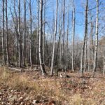 Property photo for land for sale in Perry County Tennessee