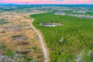 Property photo for land for sale in Lafayette County Florida