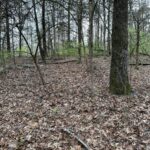 Property photo for land for sale in Boone County Arkansas