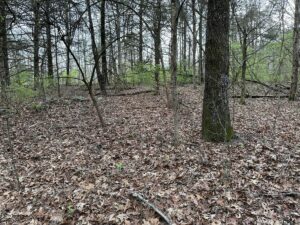 Property photo for land for sale in Boone County Arkansas