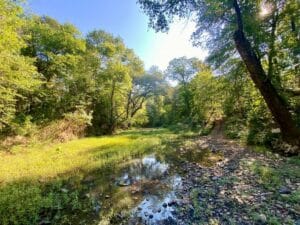 Property photo for land for sale in Pushmataha County Oklahoma