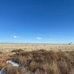 Property photo for land for sale in Torrance County New Mexico