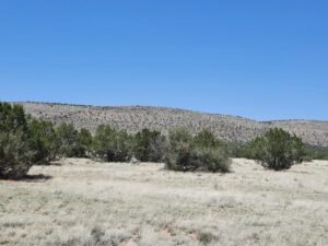 Property photo for land for sale in Yavapai County Arizona