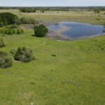 Property photo for land for sale in Navarro County Texas