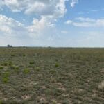 Property photo for land for sale in Torrance County New Mexico