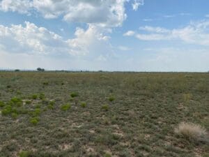 Property photo for land for sale in Torrance County New Mexico