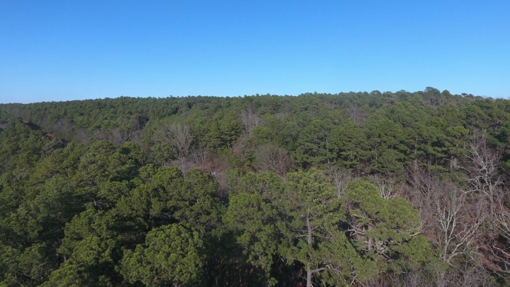 Property photo for land for sale in Latimer County Oklahoma