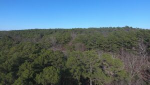 Property photo for land for sale in Latimer County Oklahoma