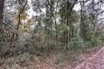 Property photo for land for sale in Suwannee County Florida