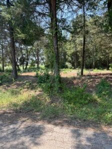 Property photo for land for sale in Titus County Texas