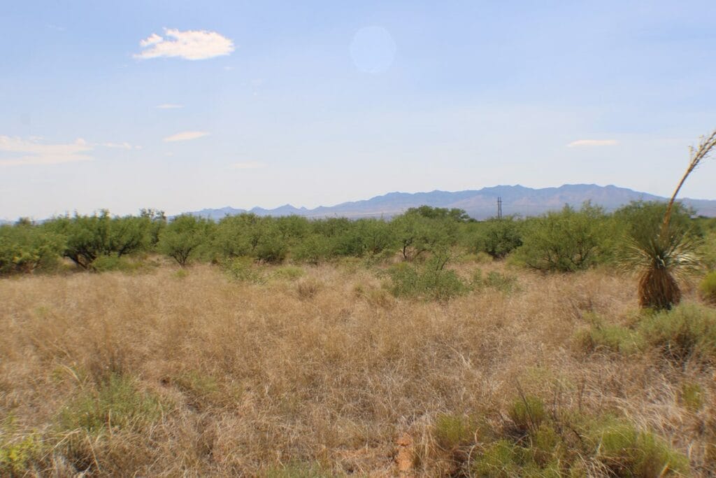 Property photo for land for sale in Cochise County Arizona